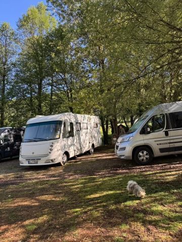Several camper vans parked under tall trees at Farma Sotira in Leskovik, Albania, with ducks walking freely on the grass.
