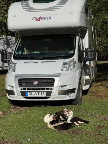 Campers socializing near motorhomes at Farma Sotira campsite, surrounded by lush green trees and a peaceful natural setting.